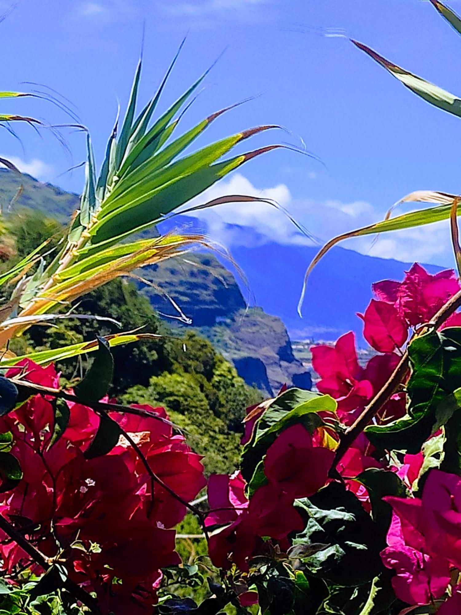 Bluegreen Arco da Calheta  Zewnętrze zdjęcie