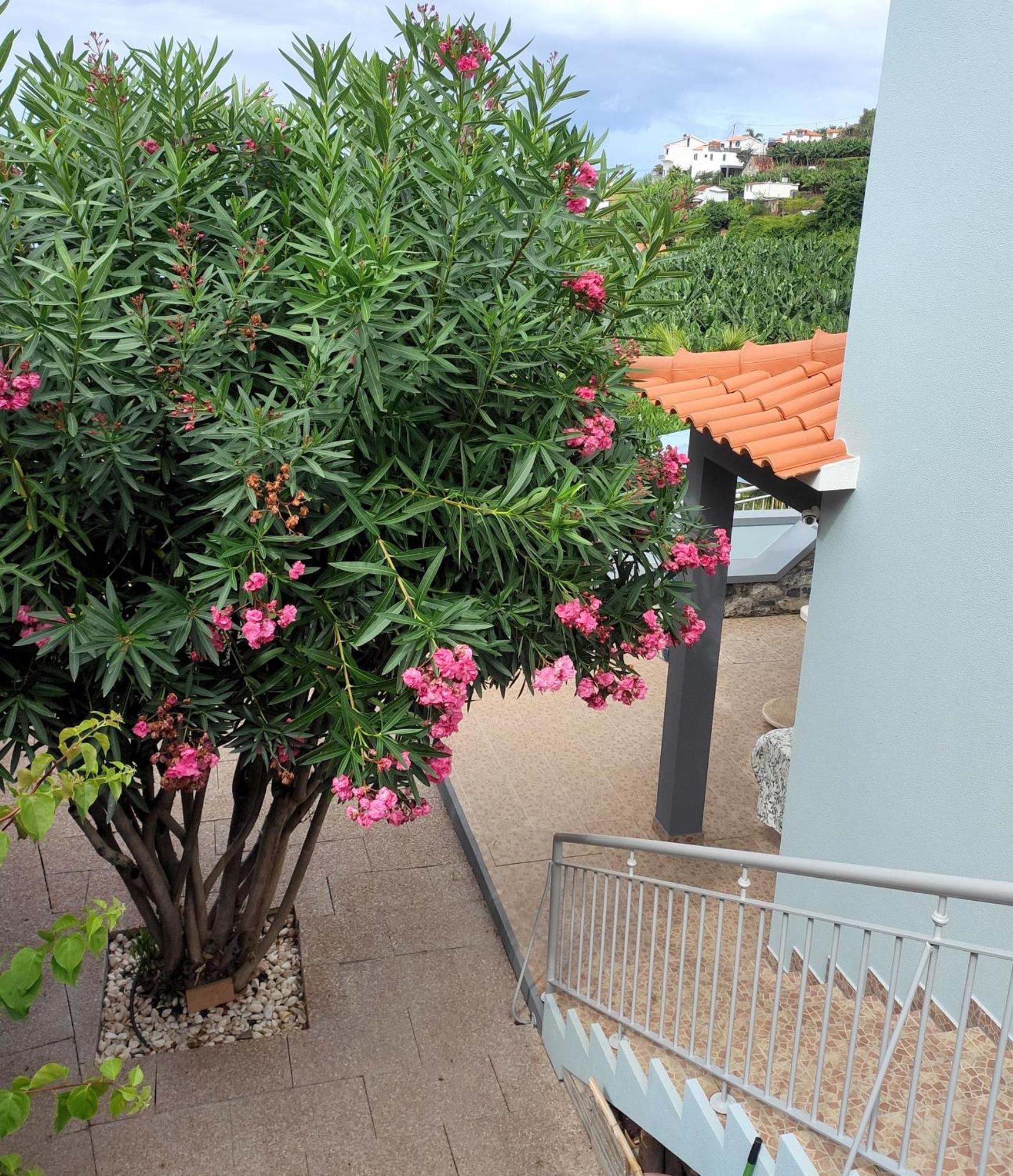 Bluegreen Arco da Calheta  Zewnętrze zdjęcie